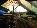 DSCF3003.JPG