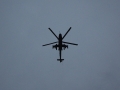 IMGP7783.JPG